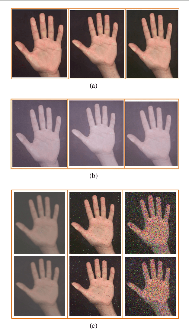 Figure 4 for Spoofing Detection on Hand Images Using Quality Assessment
