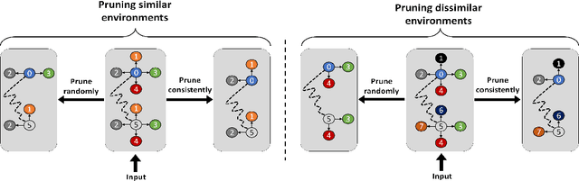 Figure 1 for LSP : Acceleration and Regularization of Graph Neural Networks via Locality Sensitive Pruning of Graphs
