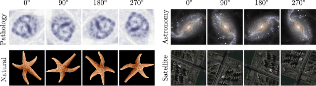 Figure 1 for Group Equivariant Generative Adversarial Networks
