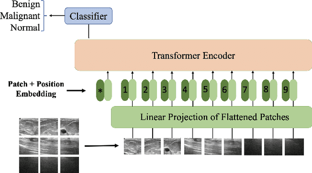 Figure 3 for Vision Transformer for Classification of Breast Ultrasound Images