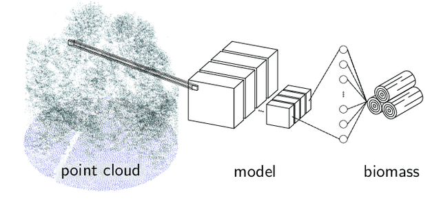 Figure 1 for Deep Learning Based 3D Point Cloud Regression for Estimating Forest Biomass