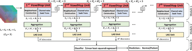 Figure 1 for VoxelHop: Successive Subspace Learning for ALS Disease Classification Using Structural MRI