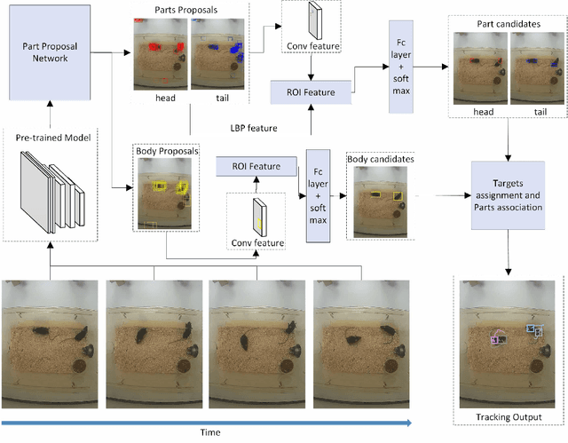 Figure 1 for Detection and Tracking of Multiple Mice Using Part Proposal Networks