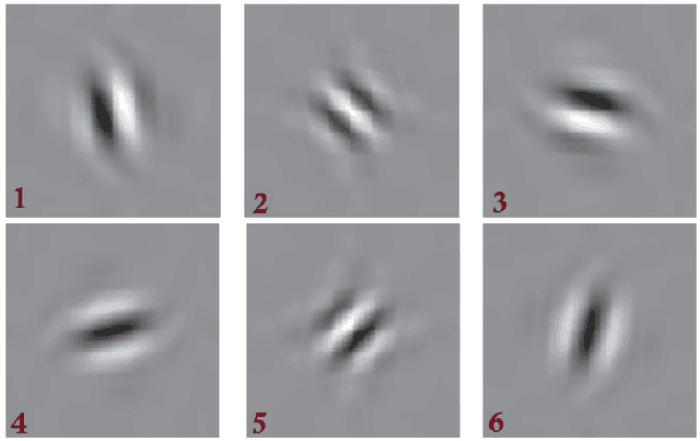 Figure 1 for Using Complex Wavelet Transform and Bilateral Filtering for Image Denoising