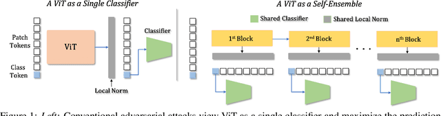 Figure 1 for On Improving Adversarial Transferability of Vision Transformers