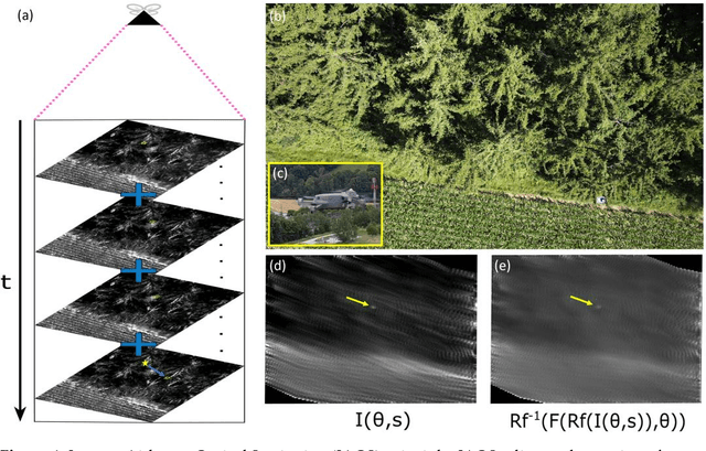 Figure 1 for Inverse Airborne Optical Sectioning