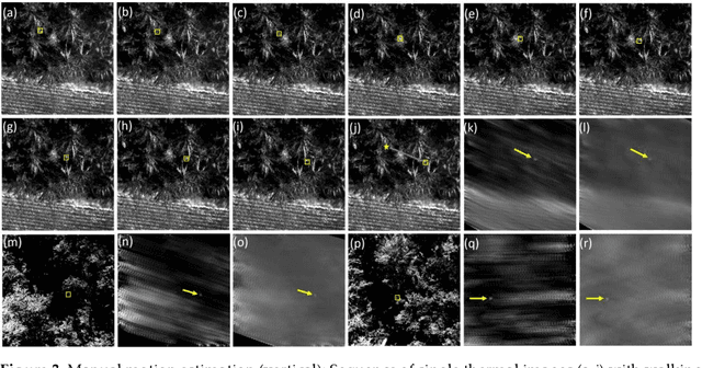 Figure 3 for Inverse Airborne Optical Sectioning