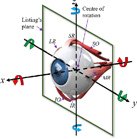 Figure 1 for Strategies for modelling open-loop saccade control of a cable-driven biomimetic robot eye