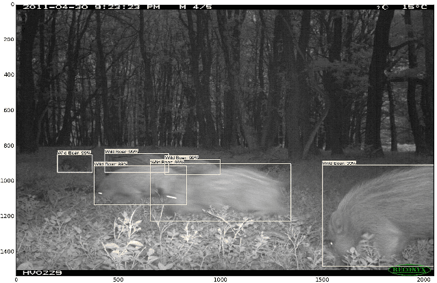 Figure 2 for Deep Learning Object Detection Methods for Ecological Camera Trap Data