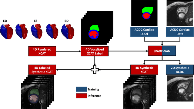 Figure 1 for 4D Semantic Cardiac Magnetic Resonance Image Synthesis on XCAT Anatomical Model