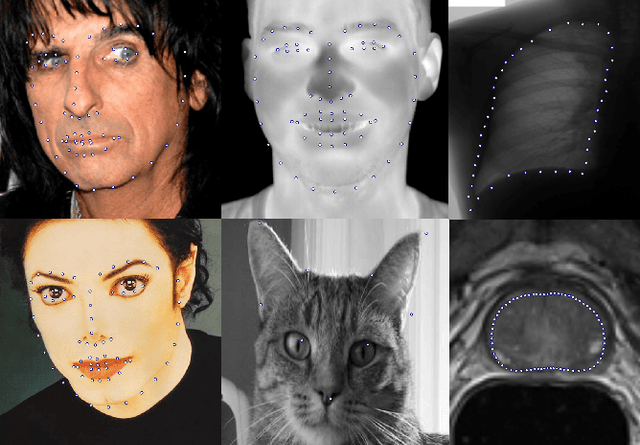 Figure 1 for Super-realtime facial landmark detection and shape fitting by deep regression of shape model parameters