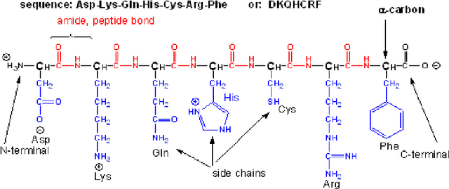 Figure 3 for Unravelling the Architecture of Membrane Proteins with Conditional Random Fields