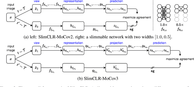 Figure 3 for Slimmable Networks for Contrastive Self-supervised Learning