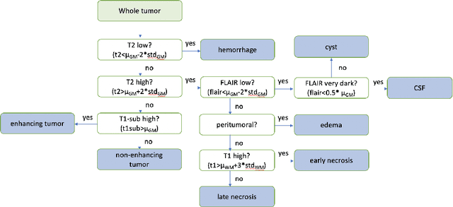 Figure 3 for A Prior Knowledge Based Tumor and Tumoral Subregion Segmentation Tool for Pediatric Brain Tumors