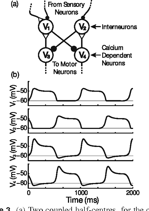 Figure 3 for Central Pattern Generators for the control of robotic systems
