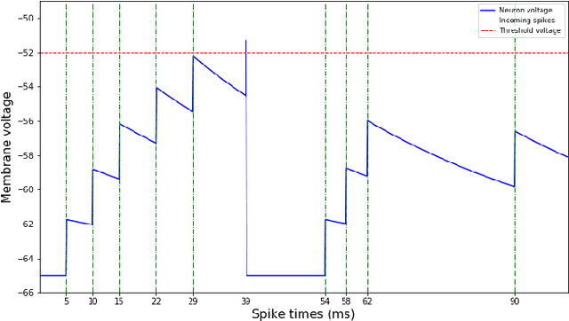 Figure 1 for STDP Learning of Image Patches with Convolutional Spiking Neural Networks