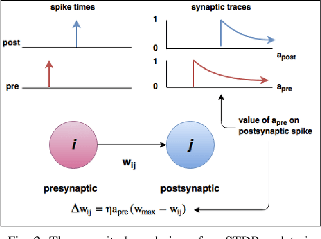 Figure 2 for STDP Learning of Image Patches with Convolutional Spiking Neural Networks