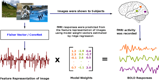 Figure 1 for Pixels to Voxels: Modeling Visual Representation in the Human Brain