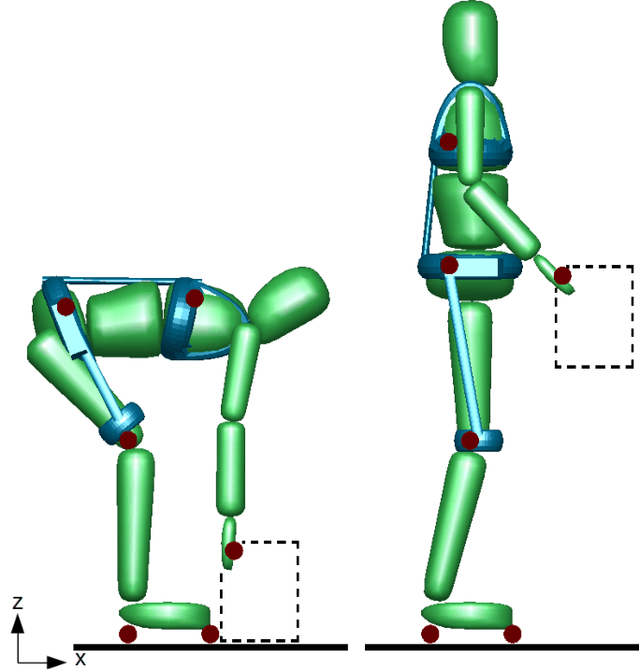 Figure 1 for Motion optimization and parameter identification for a human and lower-back exoskeleton model