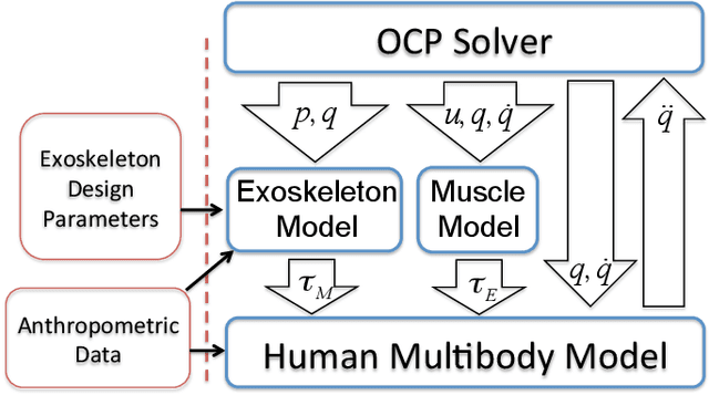Figure 3 for Motion optimization and parameter identification for a human and lower-back exoskeleton model