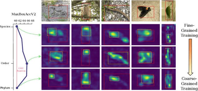 Figure 1 for On Label Granularity and Object Localization