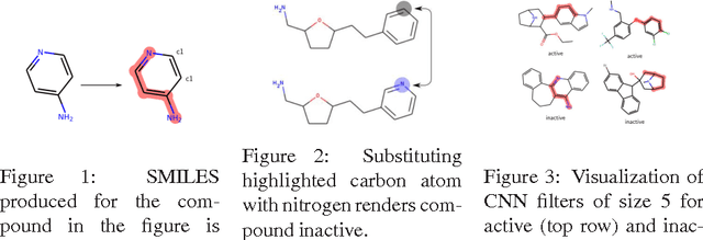 Figure 1 for Learning to SMILE(S)