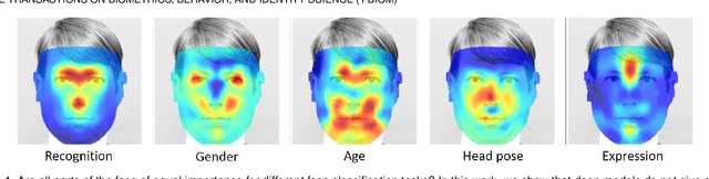 Figure 1 for Canonical Saliency Maps: Decoding Deep Face Models