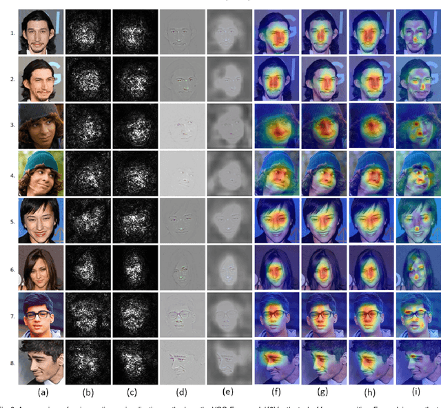 Figure 2 for Canonical Saliency Maps: Decoding Deep Face Models