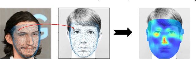 Figure 3 for Canonical Saliency Maps: Decoding Deep Face Models