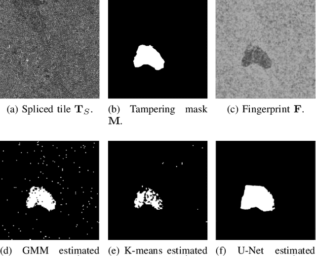 Figure 2 for Amplitude SAR Imagery Splicing Localization