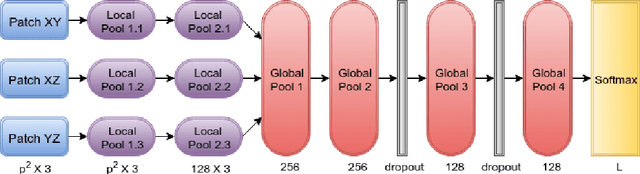 Figure 2 for Near Real-time Hippocampus Segmentation Using Patch-based Canonical Neural Network