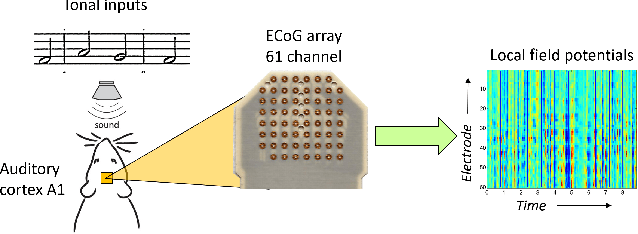 Figure 3 for Low-Rank Nonlinear Decoding of $μ$-ECoG from the Primary Auditory Cortex