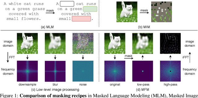 Figure 1 for Masked Frequency Modeling for Self-Supervised Visual Pre-Training