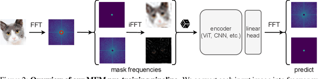 Figure 3 for Masked Frequency Modeling for Self-Supervised Visual Pre-Training