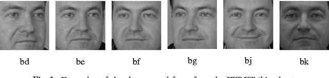 Figure 2 for Sparse Coding and Dictionary Learning for Symmetric Positive Definite Matrices: A Kernel Approach