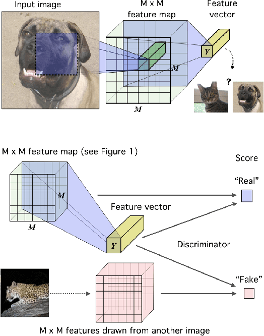 Figure 2 for Learning deep representations by mutual information estimation and maximization