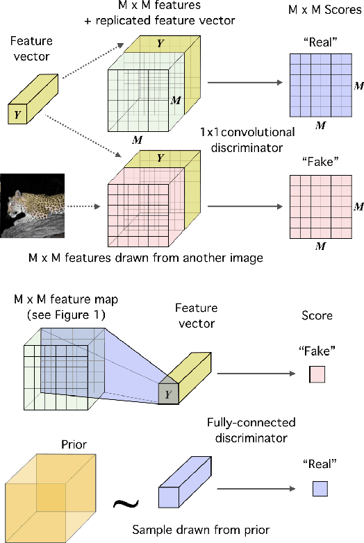 Figure 4 for Learning deep representations by mutual information estimation and maximization