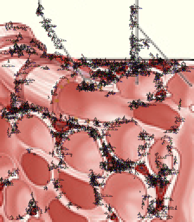 Figure 1 for Evolving Open Complexity