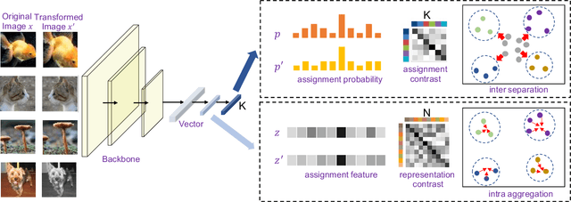 Figure 3 for Deep Robust Clustering by Contrastive Learning