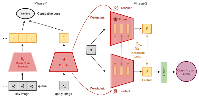 Figure 3 for VIPriors 2: Visual Inductive Priors for Data-Efficient Deep Learning Challenges