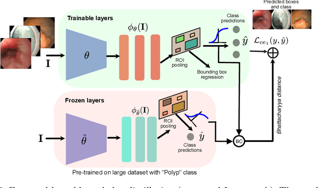 Figure 2 for Knowledge distillation with a class-aware loss for endoscopic disease detection