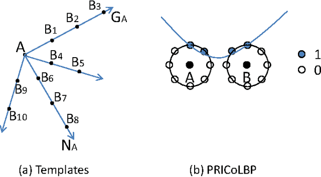 Figure 2 for HEp-2 Cell Classification via Fusing Texture and Shape Information