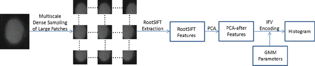 Figure 4 for HEp-2 Cell Classification via Fusing Texture and Shape Information