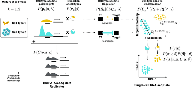 Figure 1 for A Nonparametric Multi-view Model for Estimating Cell Type-Specific Gene Regulatory Networks