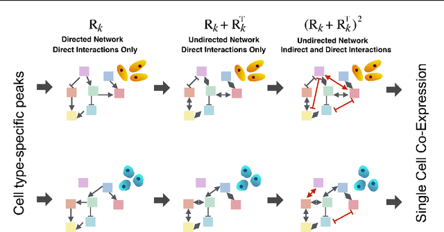 Figure 2 for A Nonparametric Multi-view Model for Estimating Cell Type-Specific Gene Regulatory Networks