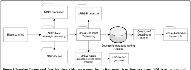 Figure 3 for Open source tools for management and archiving of digital microscopy data to allow integration with patient pathology and treatment information