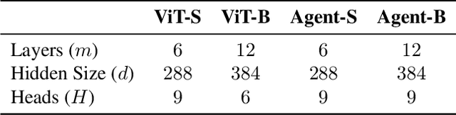 Figure 4 for Bootstrapping ViTs: Towards Liberating Vision Transformers from Pre-training