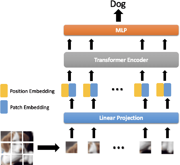 Figure 1 for Privacy-Preserving Image Classification Using Vision Transformer