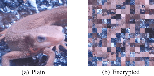 Figure 3 for Privacy-Preserving Image Classification Using Vision Transformer