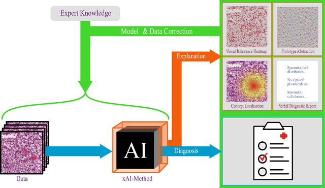 Figure 1 for Achievements and Challenges in Explaining Deep Learning based Computer-Aided Diagnosis Systems